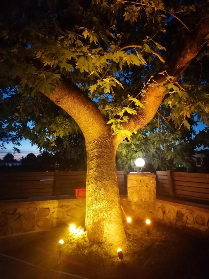 Vital Home Sapanca Isitmali Havuzlu Villa&Bungalov Εξωτερικό φωτογραφία